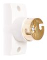 Flush Button